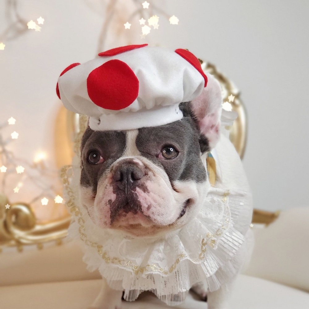Mario Brothers Mushroom Hat Costume for Dogs • Red Polka Dot Hat